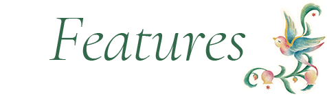 {{brizy_dc_image_alt imageSrc=